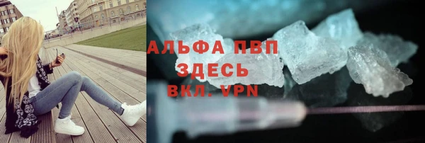 стафф Алзамай