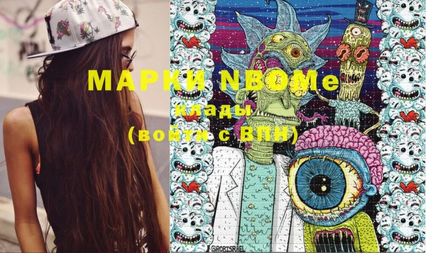 стафф Алзамай