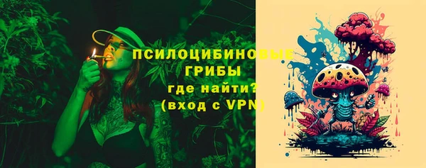 спайс Алексин