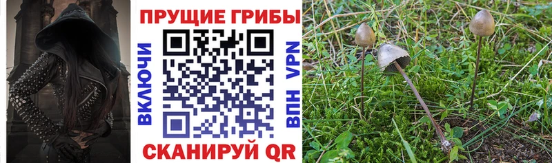 KRAKEN рабочий сайт  Цимлянск  Галлюциногенные грибы Magic Shrooms  закладка 